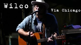 Wilco: Via Chicago [4K] 2015-08-01 - Gathering of the Vibes