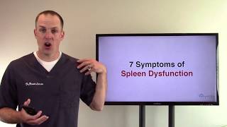 7 Symptoms of Spleen Dysfunction