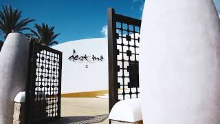 Where Color Shines Destino 2018