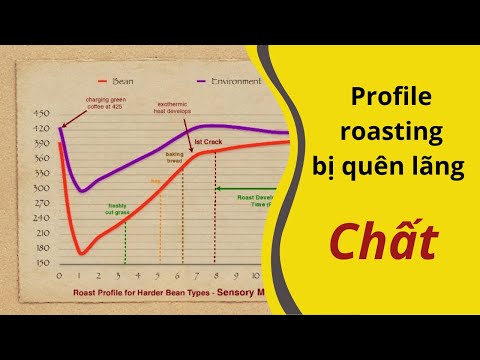 Bài 4: Perfil tocou cà phê thần thánh bị lãng quên