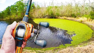 This HIDDEN Pond is LOADED w/ Bass (Bank Fishing)
