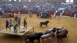 preview picture of video 'Entrada de bous divendres. Sant Jaume '11 Ondara'