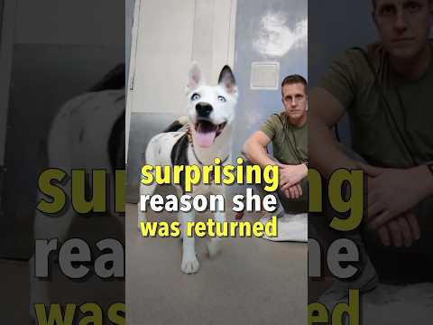 It wasn’t her fault 😳