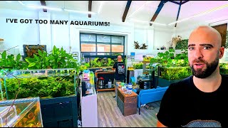 50 Tanks, 1000's Of Fish, HUGE Energy Costs, High Rent | Tour Of My Fish Studio