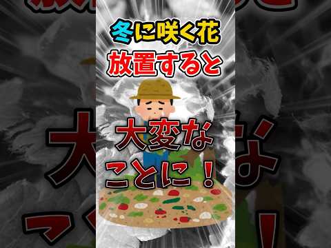 野菜、ハーブ、花の中でイチゴに最適なコンパニオンプランツは何ですか?  庭園