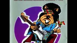 The Hamsters - Rock Me Baby (Jimi Hendrix cover)