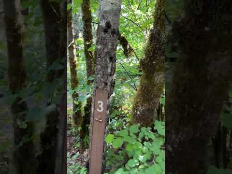Campground Walkthrough