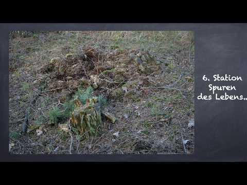 Station06 - Passionsgang im Moor