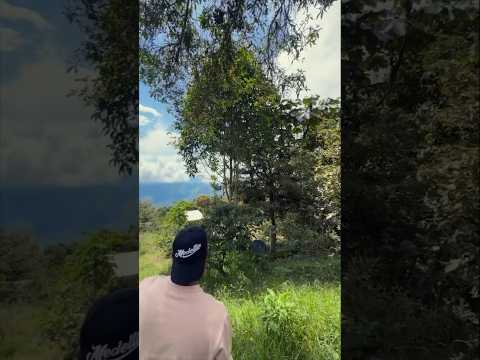 Y nos fuimos de pasadía completa por @montebelloecoturismo.