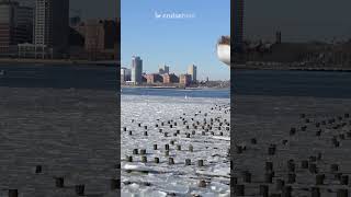 Severe Winter Storm Forces Odyssey of the Seas to Stay Overnight. #cruise #royalcaribbean