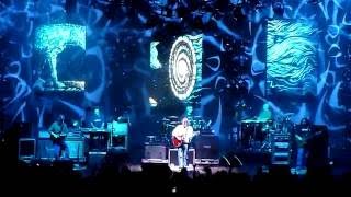 Widespread Panic ~ Blue Indian