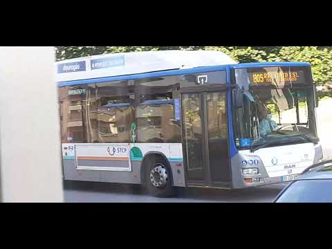 STCP Linha 805 Veículos 3201, 3208, 3209,