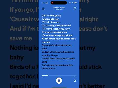 Billie Eilish - BIRDS OF A FEATHER #lyrics #pop #music #billieeilish #birdsofafeather
