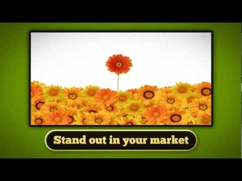 How To Automate Your Social Media Sharing with WordPress Website