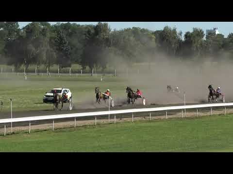 Trka "Ergela Zobnatica"  07.08.2021 Lena H Jet - Milan Lišić