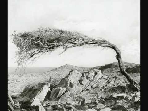 Matt Sweeney & Bonnie 'Prince' Billy - Storms