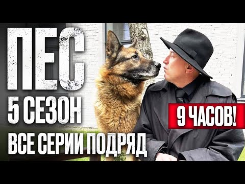 🎬 Сериал ПЕС 5 сезон – Полный 5 СЕЗОН – ВСЕ СЕРИИ ПОДРЯД (1 – 10)  | ПЕС 2023 – ЧАСТЬ 2