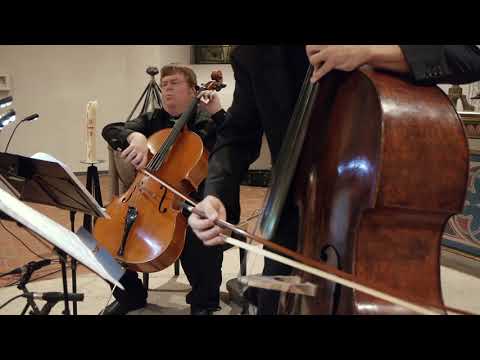 BARRIÈRE - PRESTO Sonata G major | Guido Schiefen (cello) & Božo Paradžik (double bass) LIVE 2018