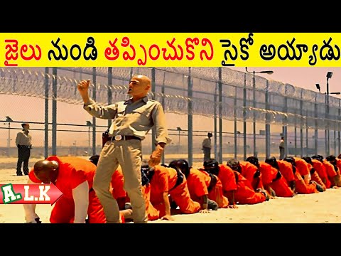 ఇక్కడ నుండి తప్పించుకొని తిక్కలోడి చేతిలో పడ్డాడు || Movie Explained In Telugu || ALK Vibes