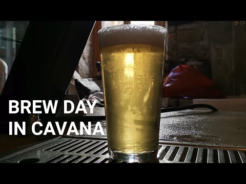 Brewday in Cavana Craft Brewery with Speidel Braumeister 200 L