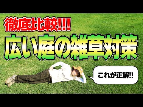 芝生の雑草と戦う トピックス