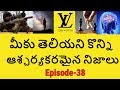 Interesting And Amazing Facts In Telugu Episode 38 Telugu Badi Unknown Facts