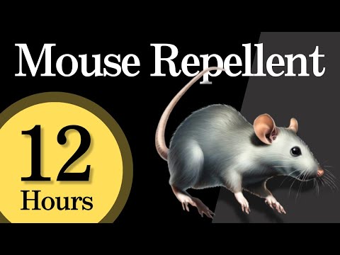 Mouse Repellent Noise | Works While You Sleep or Away | 12 Hours