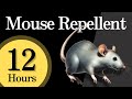 12h Mouse Repellent Noise Works While You Sleep Or Away