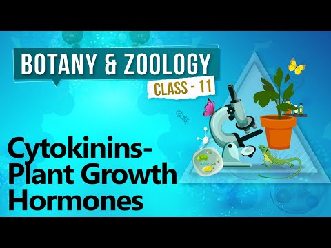 Cytokinins - plant growth hormones - plant growth and develo...