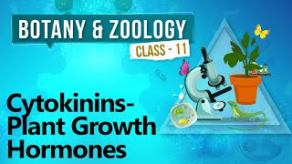 Cytokinins - Plant Growth Hormones - Plant Growth and Development - Biology Class 11