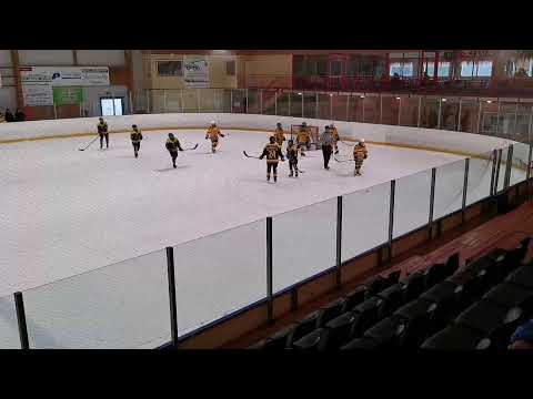 PyPo - Ilves Keltainen