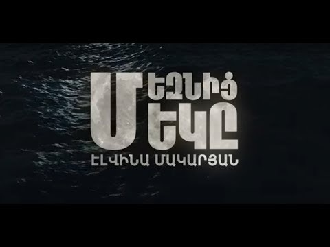 Մեզնից մեկը | Էլվինա Մակարյան 