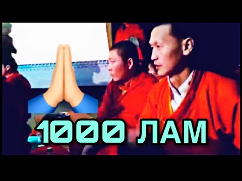 Hiimoriin san (1000 Lam) хийморын сан  Subscribe дарвал ажил үйлс бүтэх нь гарцаагүй