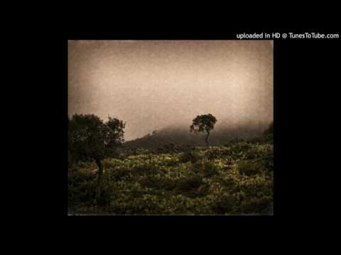 BABUINKID // LO BELLO