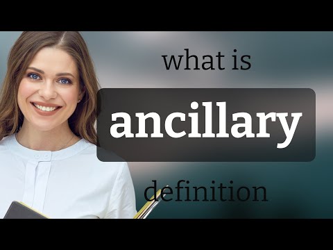 Ancillary • what is ANCILLARY definition