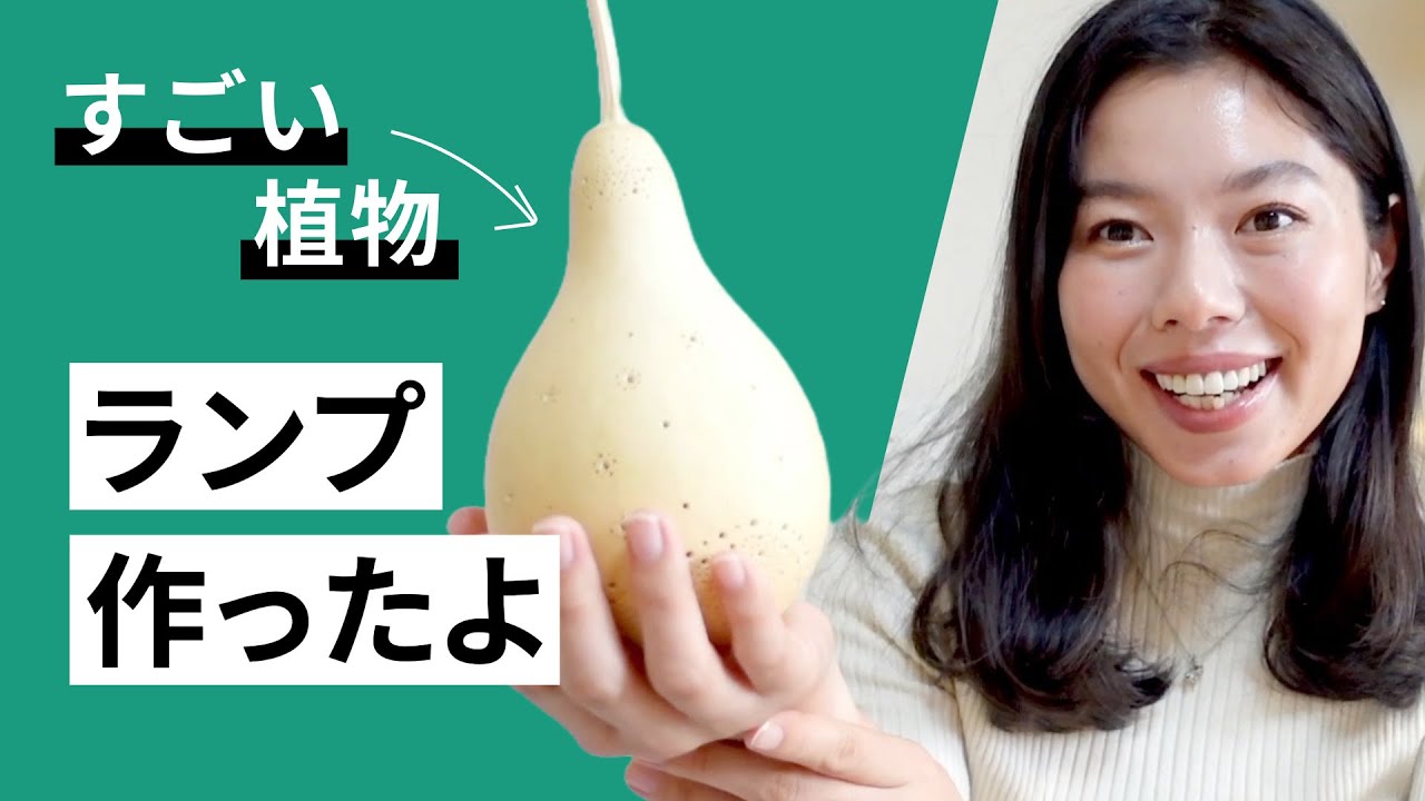 509 すごく便利な植物「ひょうたん」でランプを作ってみました！#日本語ポッドキャスト