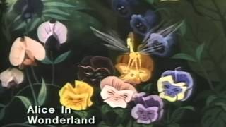 Alice in Wonderland (1951) Video