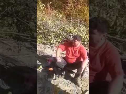 LEMNE DIN BELȘUG LA COMUNA POMEZEU , 100 LEI METRU CUB. PRIMAR PNL  ABUZÂND DE FUNCȚIA SA.