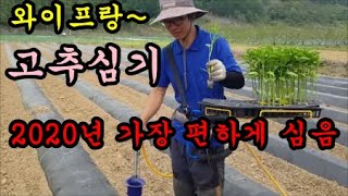 고추심는방법 모종심는기계로 고추모종 1000포기를 심었어요