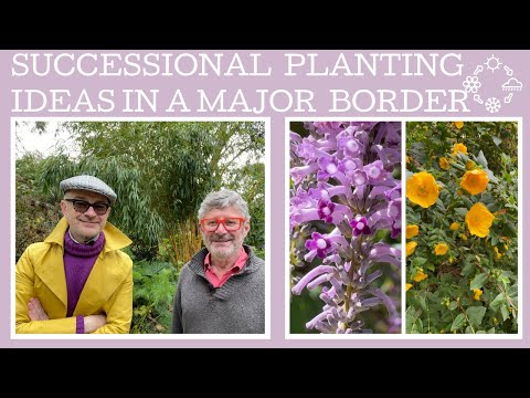Three key ideas to help create & maintain a major feature border in the garden.