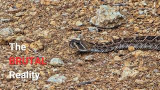 The Brutal Reality of Palo Pinto: Tucker Lake & Cross Timbers
