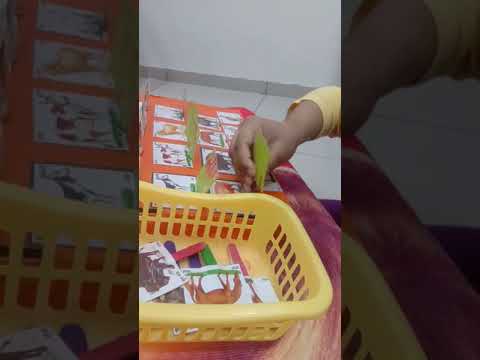 Hetvi Activities..... Learn to Domestic Animals