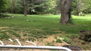 preview picture of video '734 W Ladd Avenue, Bloomington, IN 47403'