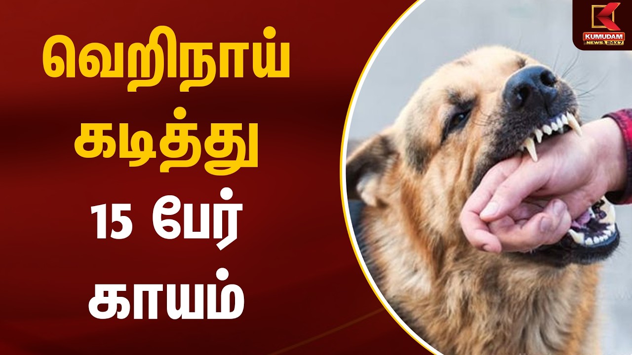 JUST NOW : வெறிநாய் கடித்து 15 பேர் காயம் | Stray Dog Bite | Puliyangudi | Tenkasi | Kumudam News