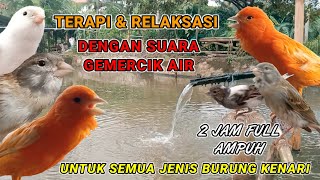 Download lagu 100% AMPUH TERAPI KENARI DENGAN SUARA GEMERCIK AIR - untuk semua jenis burung kenari mp3