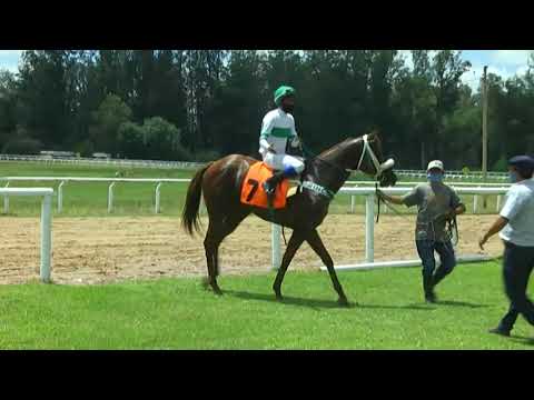 210213 c02 1° AMERICAN OBSESSIVE - SINT- MELO