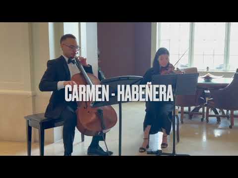 Promotional video thumbnail 3 for Cincy Strings - Professional Live Music