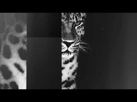 Primitive Knot: Die Hardest (extract)