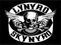 Lynyrd Skynyrd - Skynyrd Nation lyrics - Vic M Lynyrd Skynyrd - Skynyrd Nation lyrics