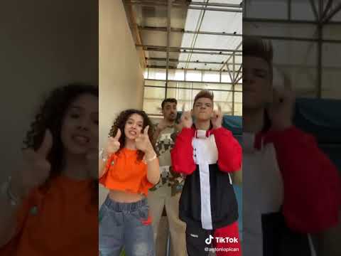 Bibi, Antonio Pican si Liviu